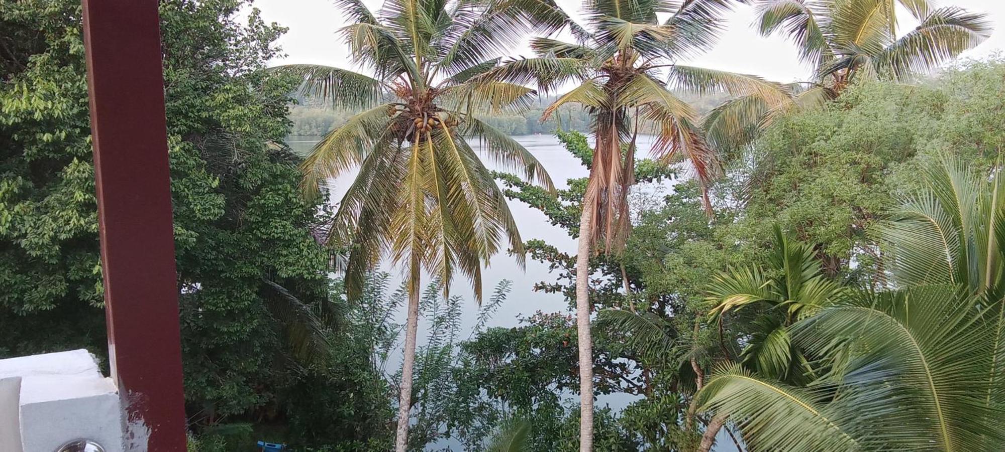 The Green Lagoon Villa ฮิกคาดูวา ภายนอก รูปภาพ